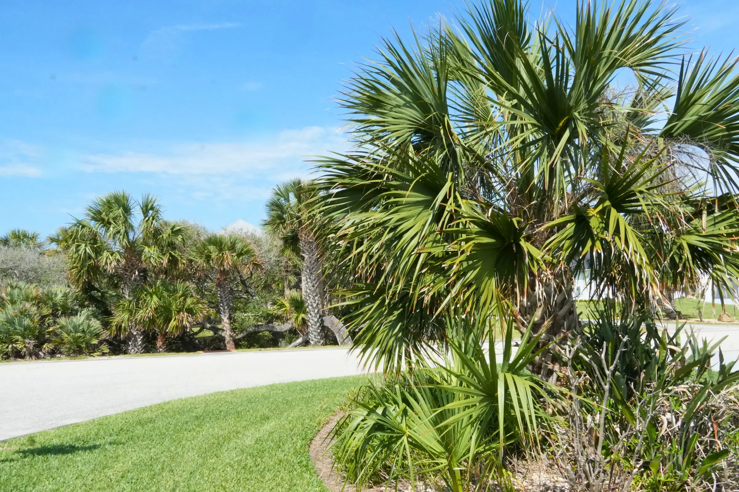 WaterCare crew installing irrigation on a Northeast Florida HOA property
