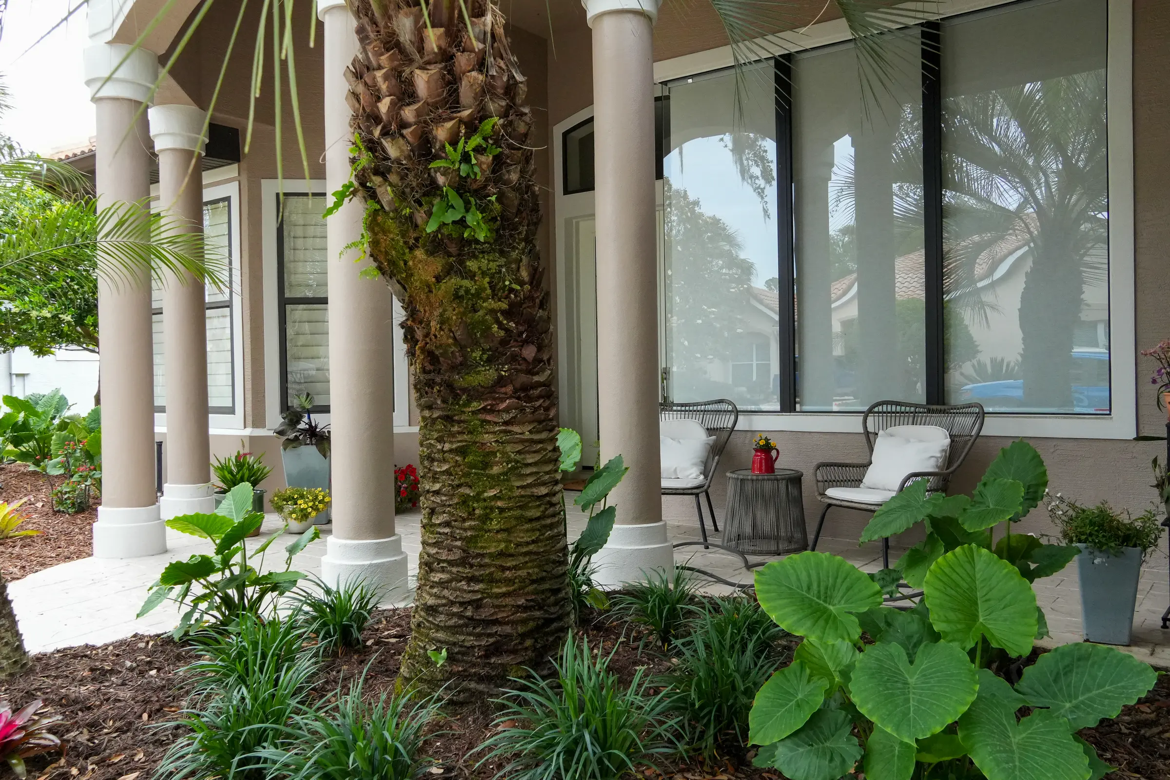 Irrigated planting bed of liriope and elephant ears around a palm in front of a columned front porch