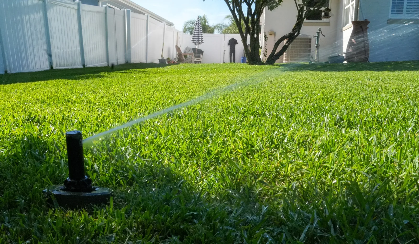 Pop-up sprinkler head watering a residential Northeast Florida lawn